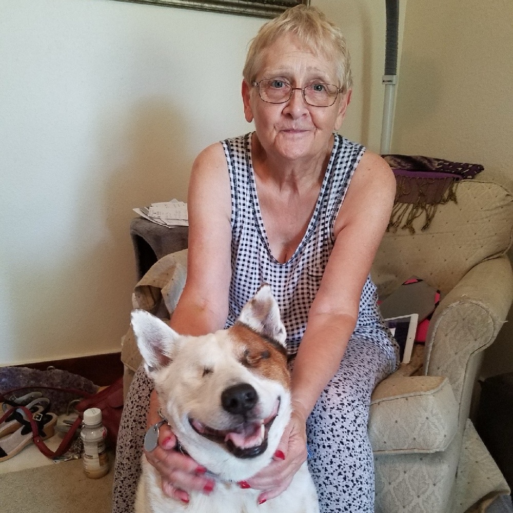 Meet your Posher, Pat